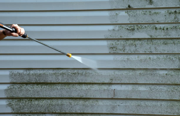 Best Roof Washing  in Lawton, MI