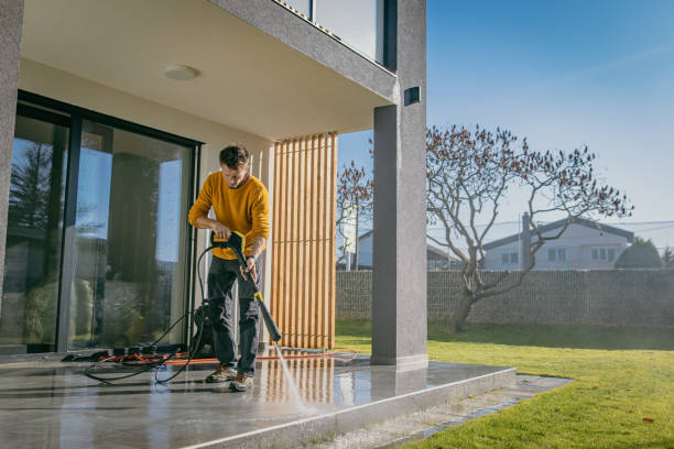 Best Gutter Cleaning  in Lawton, MI